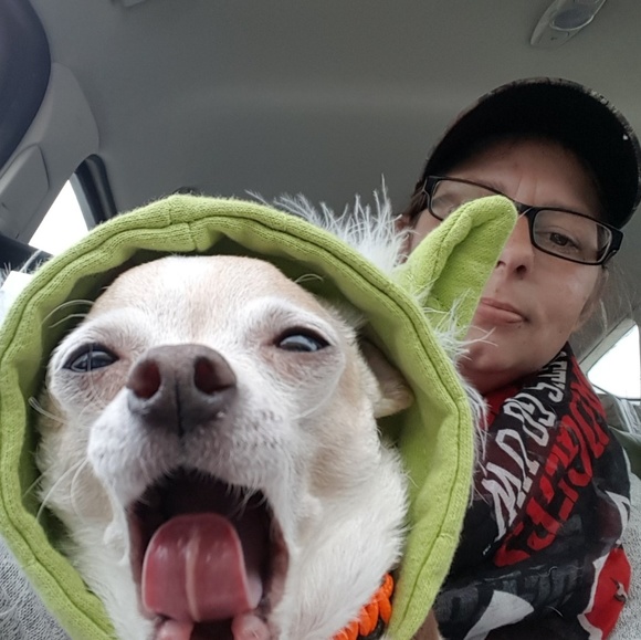 Meet your Posher, Kelly - Picture 4 of 4